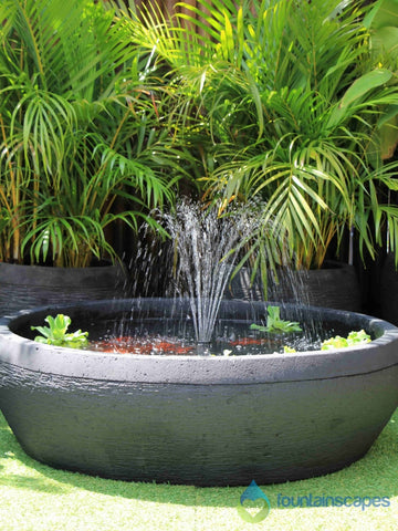 Fish Pond Fountains